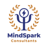 MindSpark Consultants